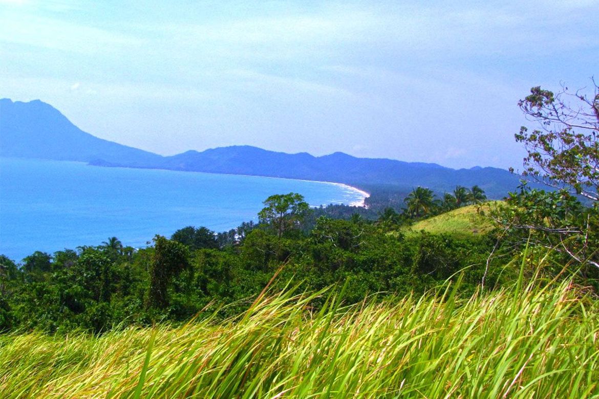Land for Sale in New Canipo, San Vicente, Palawan – photo 3