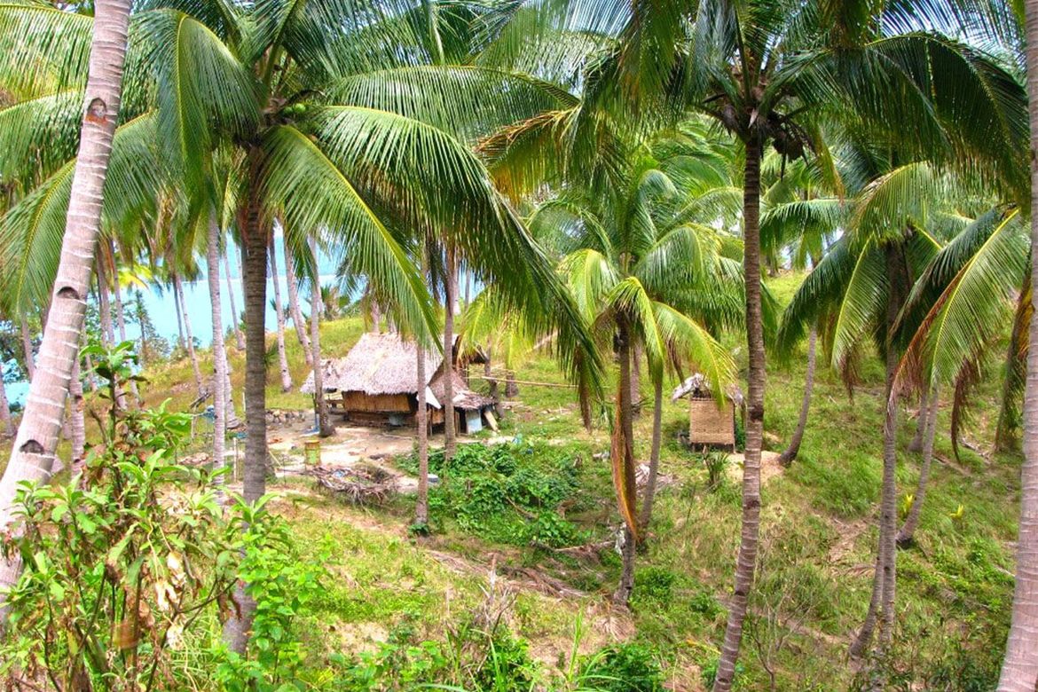 Land for Sale in New Canipo, San Vicente, Palawan – photo 4