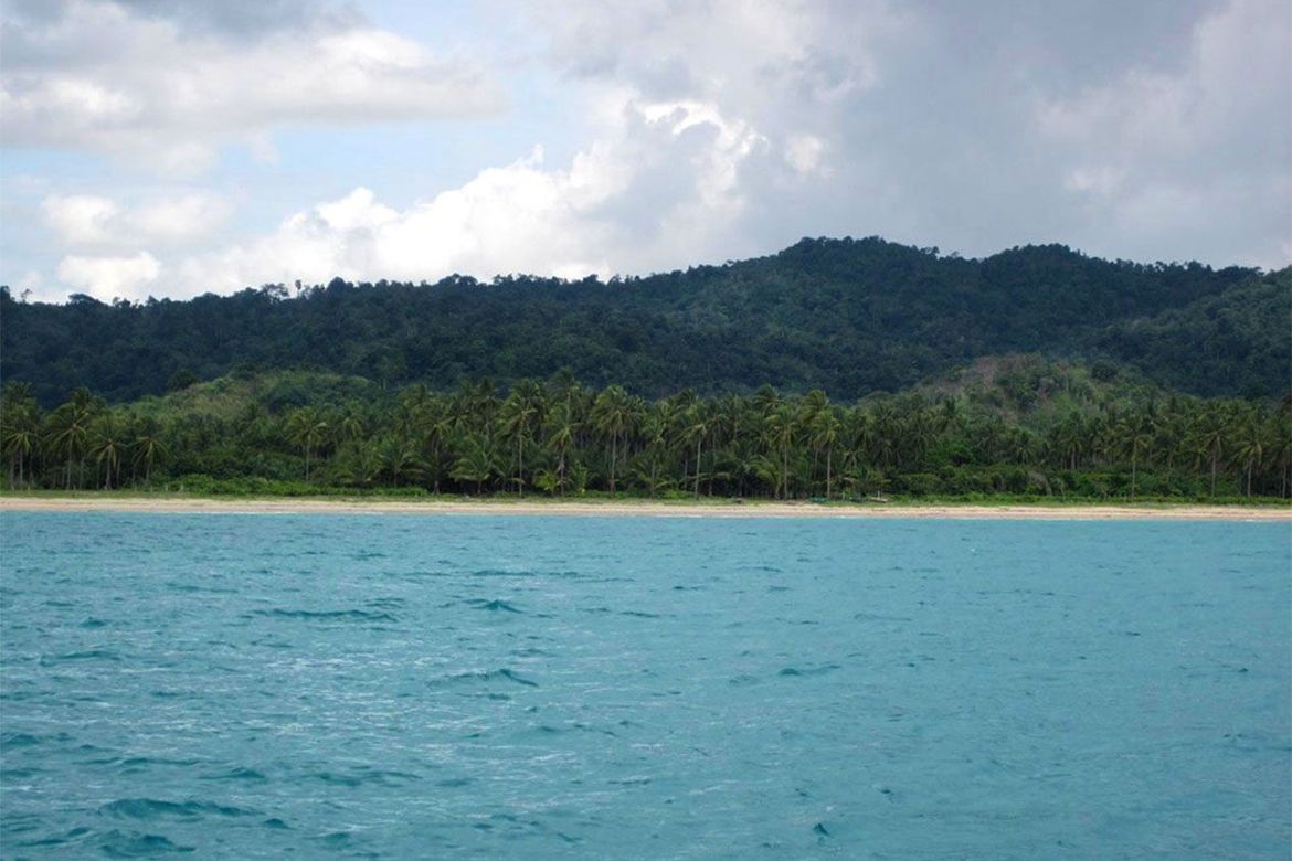 Land for Sale in New Canipo, San Vicente, Palawan – photo 5