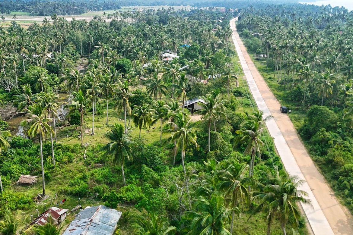 Land for Sale in New Canipo, San Vicente, Palawan – photo 6