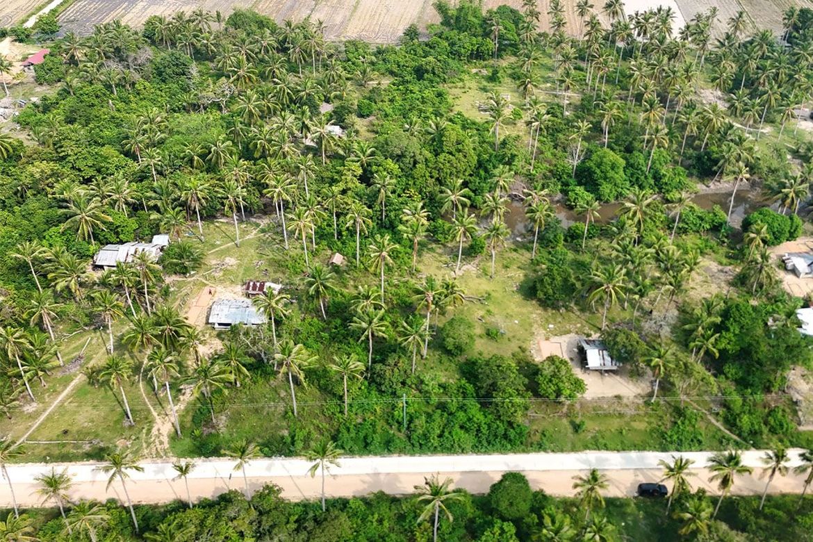 Land for Sale in New Canipo, San Vicente, Palawan – photo 7
