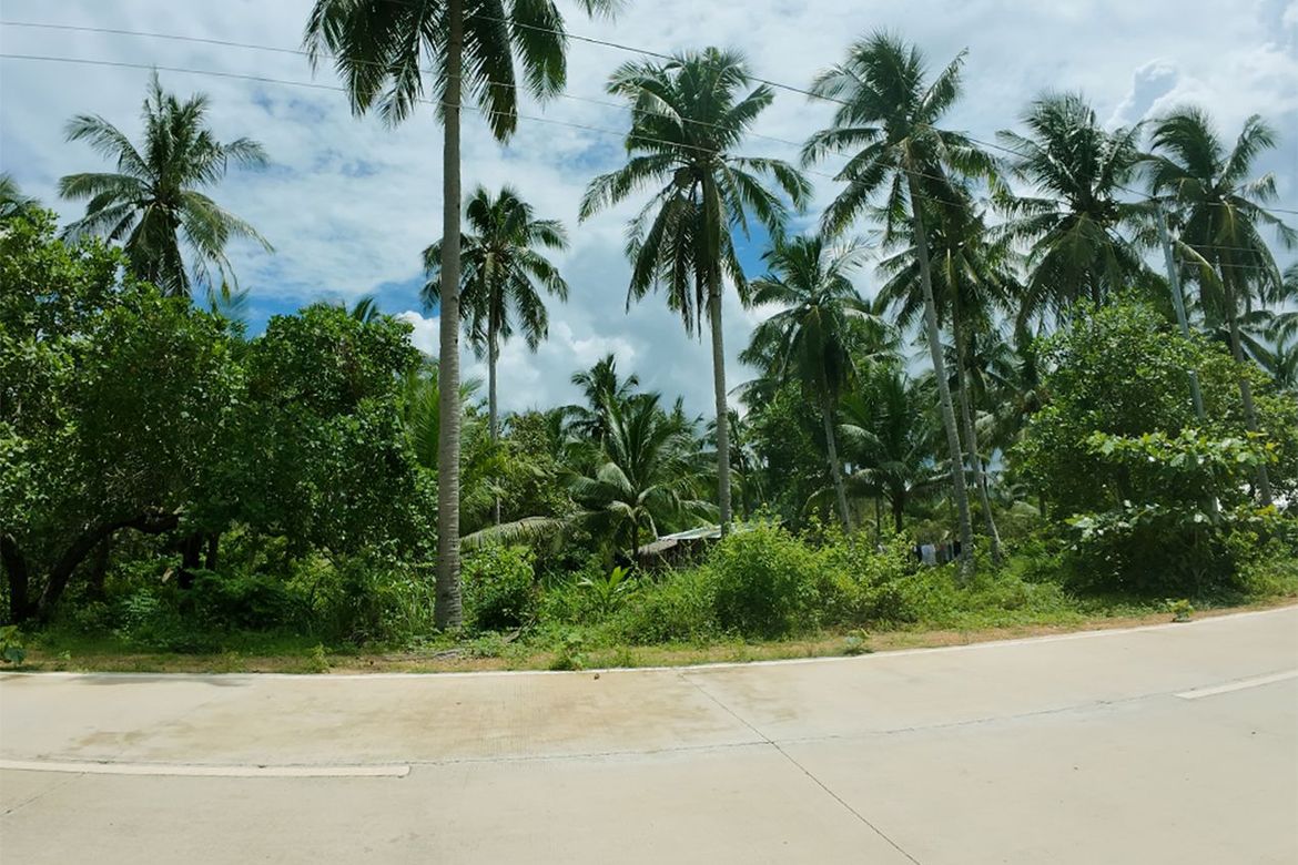 Land for Sale in New Canipo, San Vicente, Palawan – photo 7