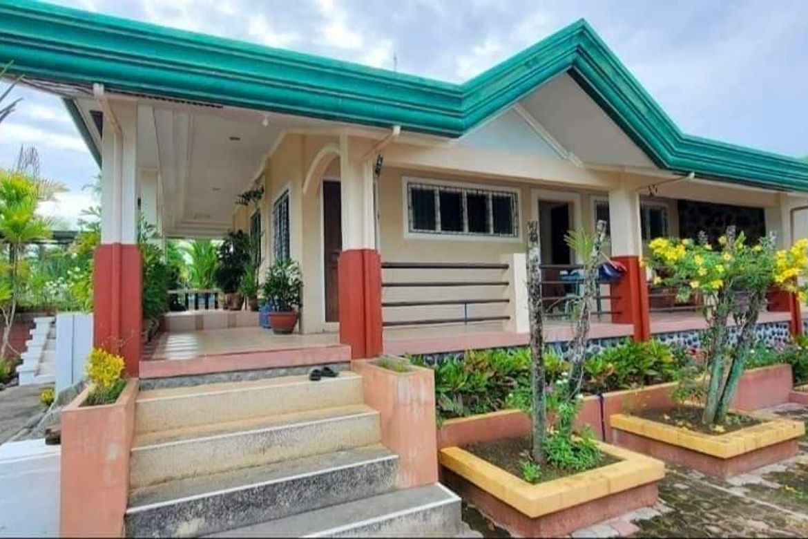 Land for Sale in New Katipunan, Santo Tomas, Davao del Norte – photo 2