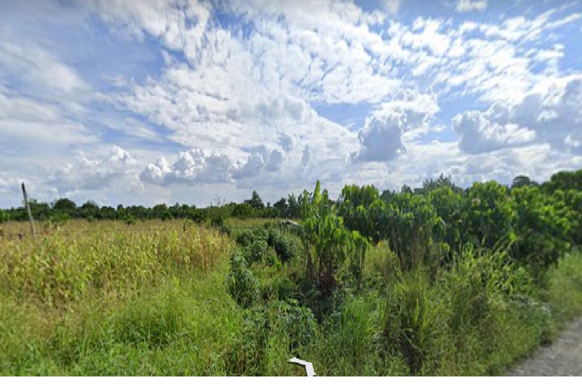 Land for Sale in New Pandan, Panabo, Davao del Norte – photo 3
