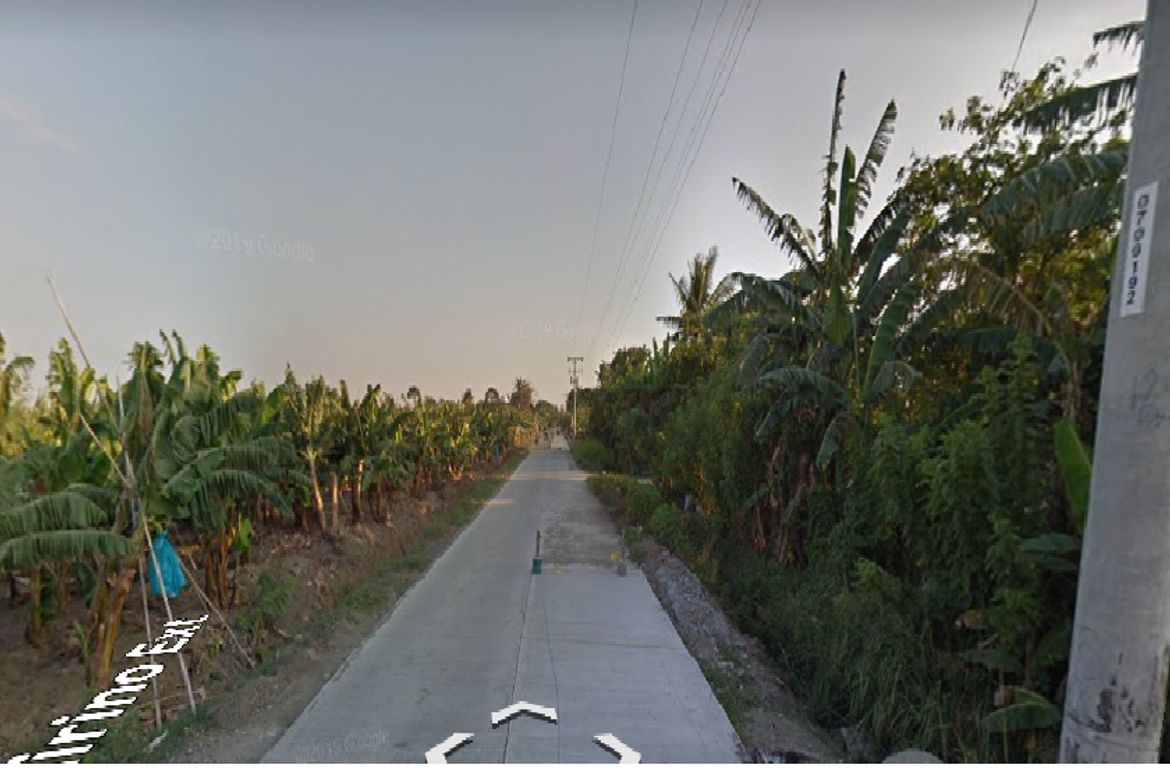 Land for Sale in New Pandan, Panabo, Davao del Norte – photo 4