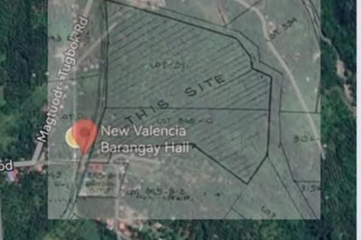 Land for Sale in New Valencia, Davao City, Davao del Sur – photo 5