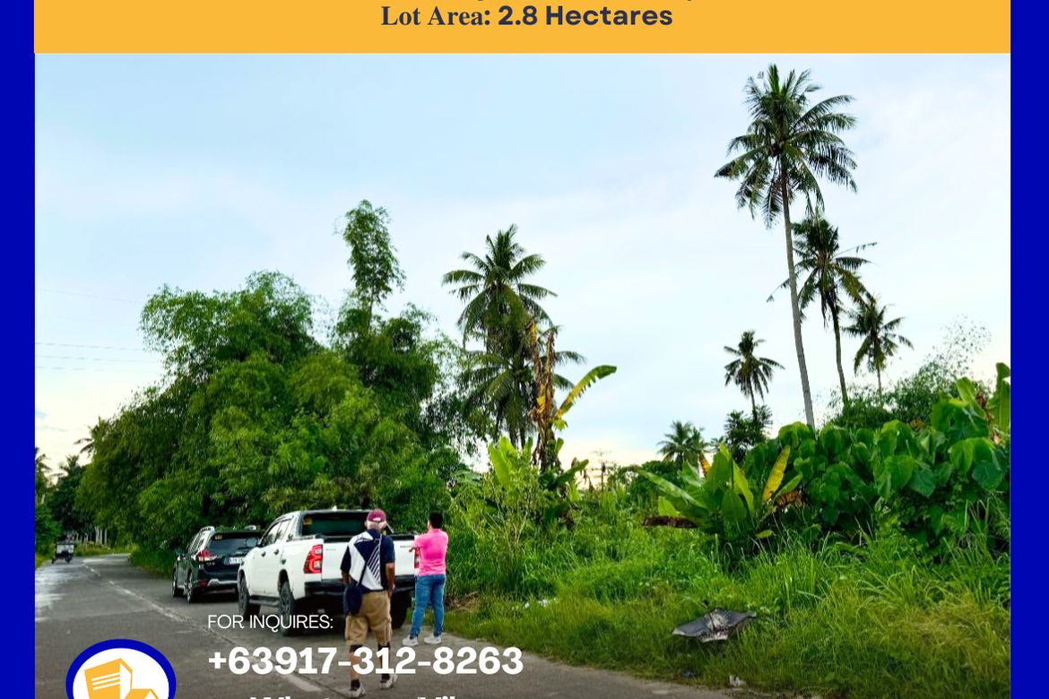 Land for Sale in New Visayas, Panabo, Davao del Norte