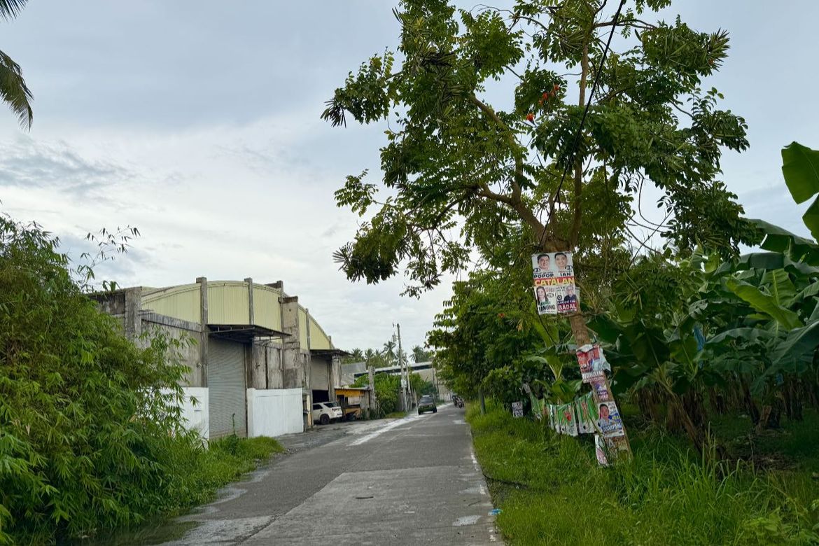 Land for Sale in New Visayas, Panabo, Davao del Norte – photo 2