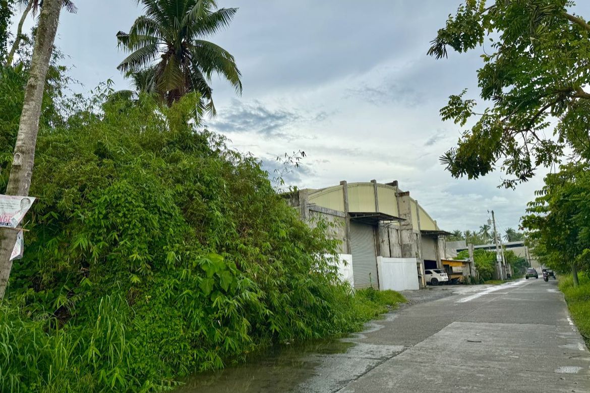 Land for Sale in New Visayas, Panabo, Davao del Norte – photo 3