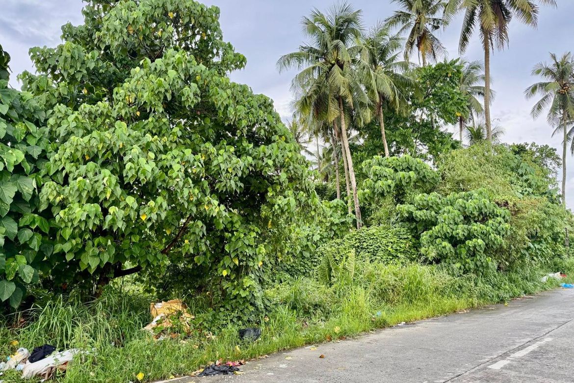 Land for Sale in New Visayas, Panabo, Davao del Norte – photo 4