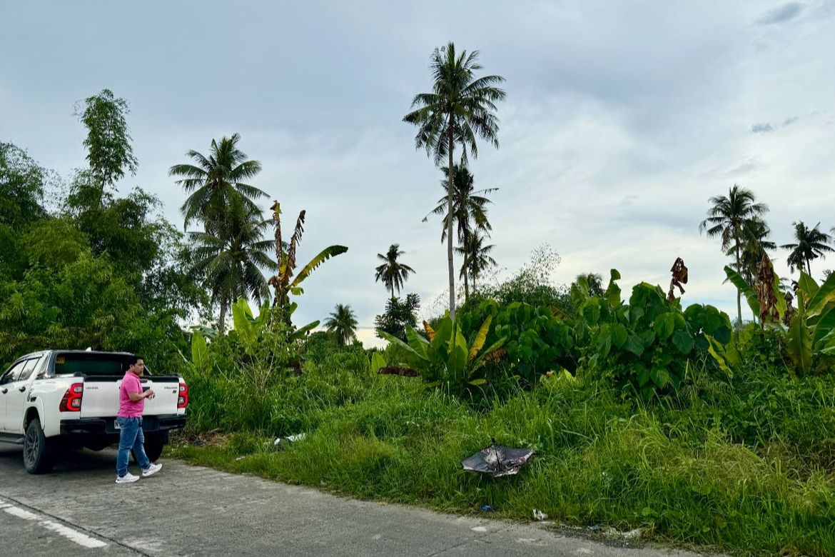 Land for Sale in New Visayas, Panabo, Davao del Norte – photo 6