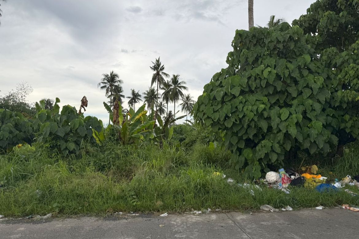 Land for Sale in New Visayas, Panabo, Davao del Norte – photo 7