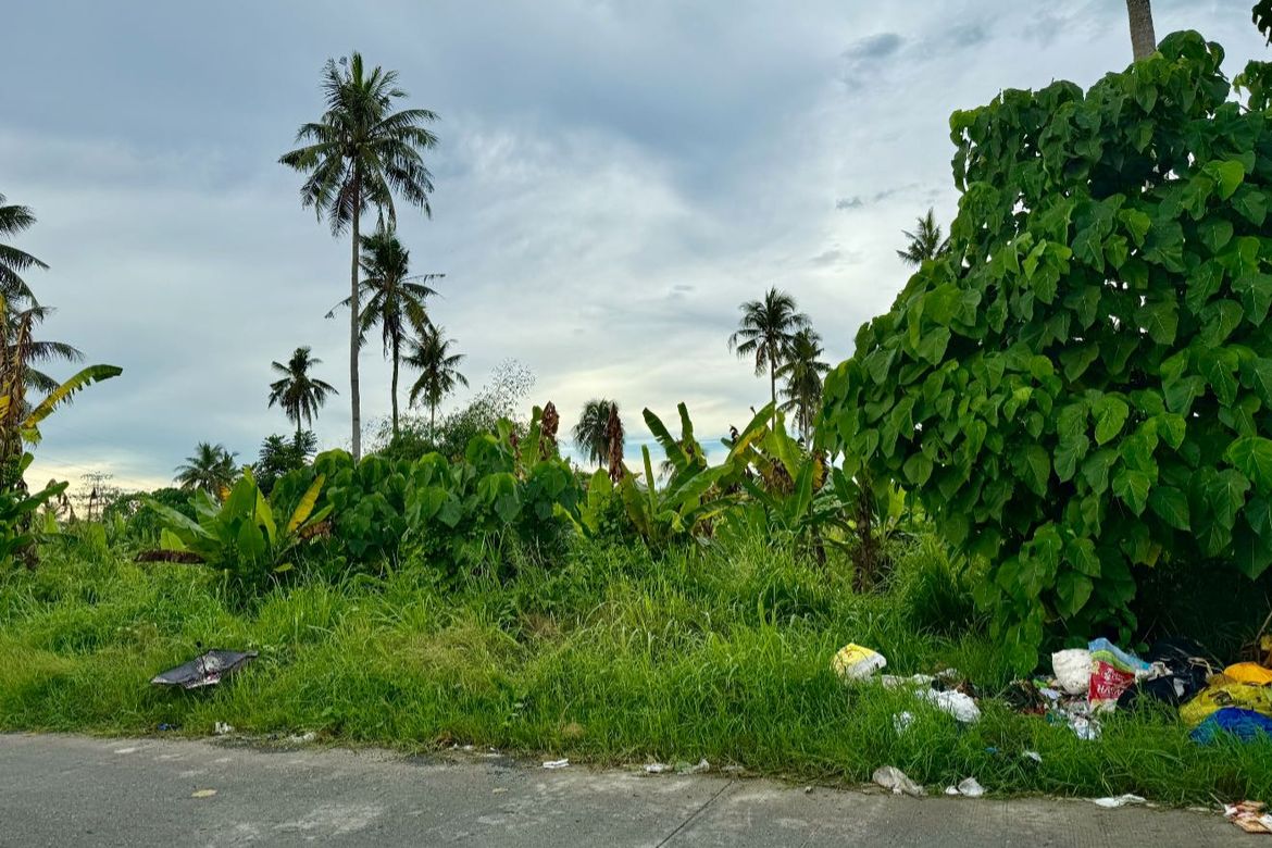 Land for Sale in New Visayas, Panabo, Davao del Norte – photo 8