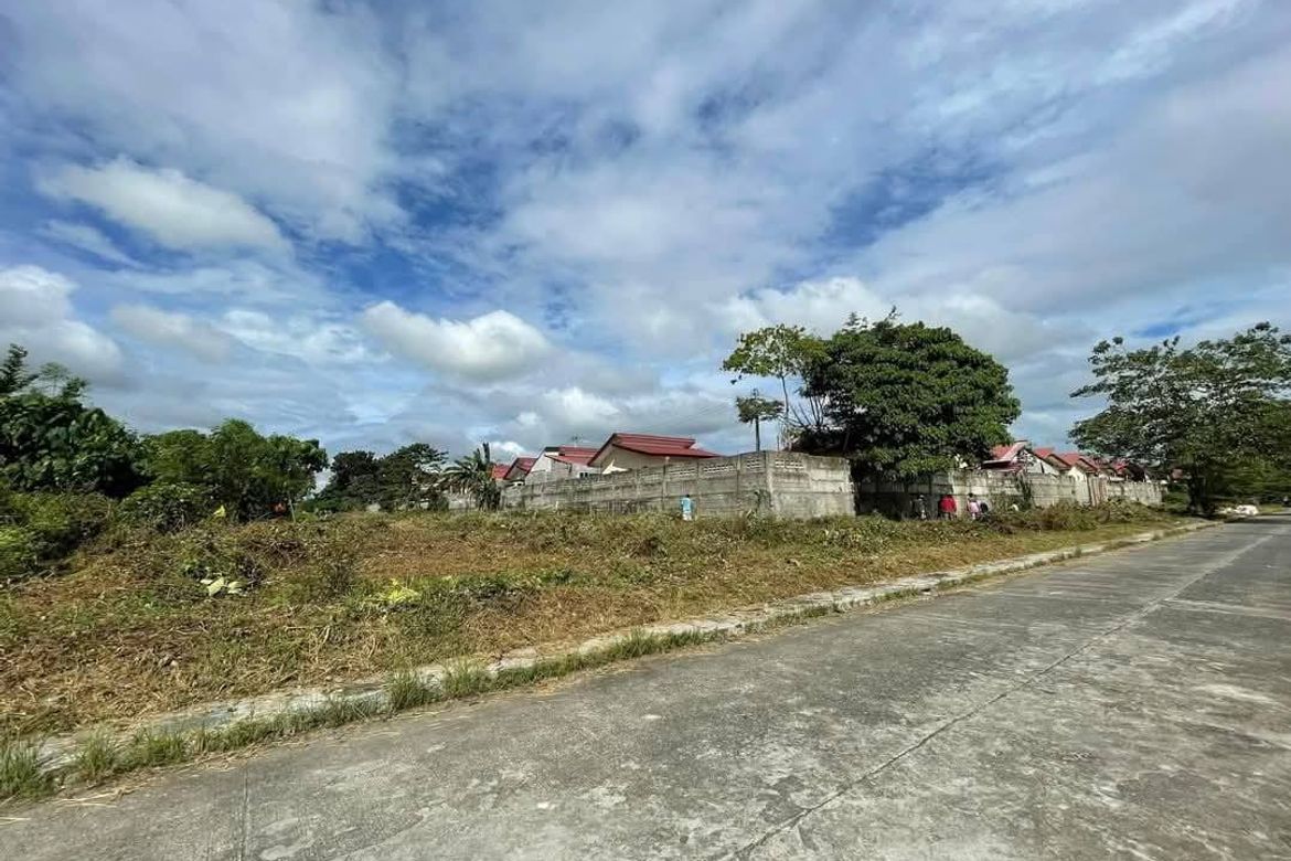 Land for Sale in New Visayas, Panabo, Davao del Norte