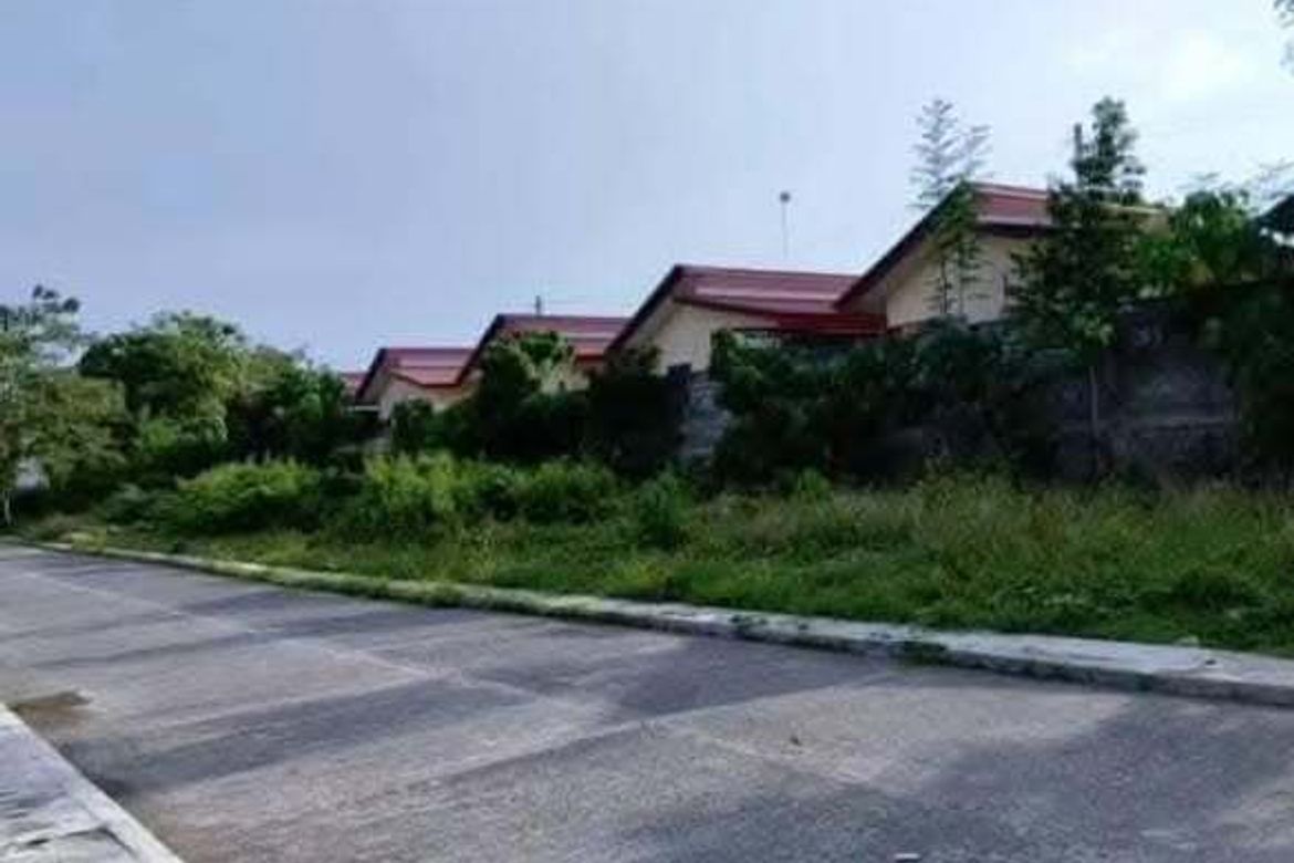Land for Sale in New Visayas, Panabo, Davao del Norte – photo 2
