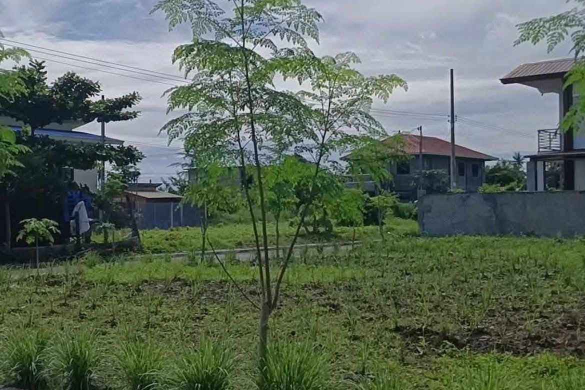 Land for Sale in New Visayas, Panabo, Davao del Norte – photo 4