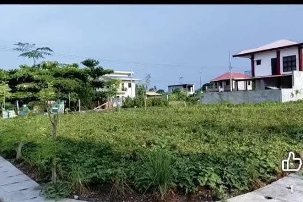 Land for Sale in New Visayas, Panabo, Davao del Norte – photo 5