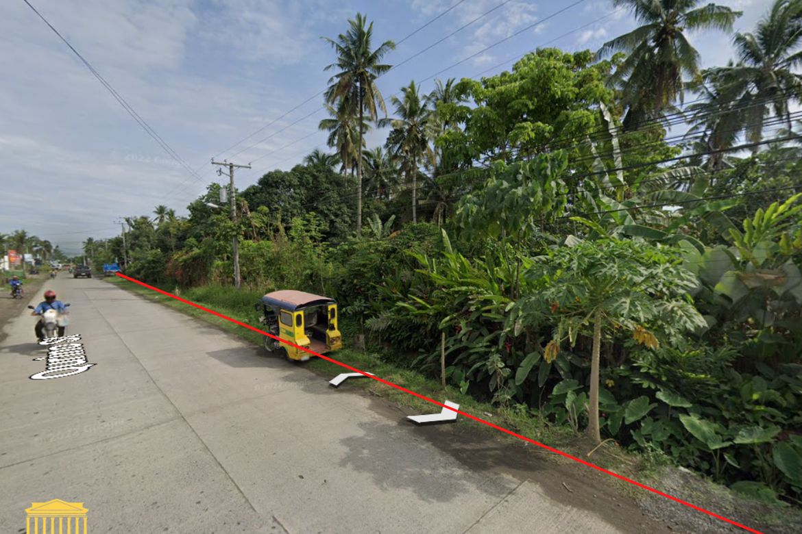 Land for Sale in New Visayas, Panabo, Davao del Norte – photo 2