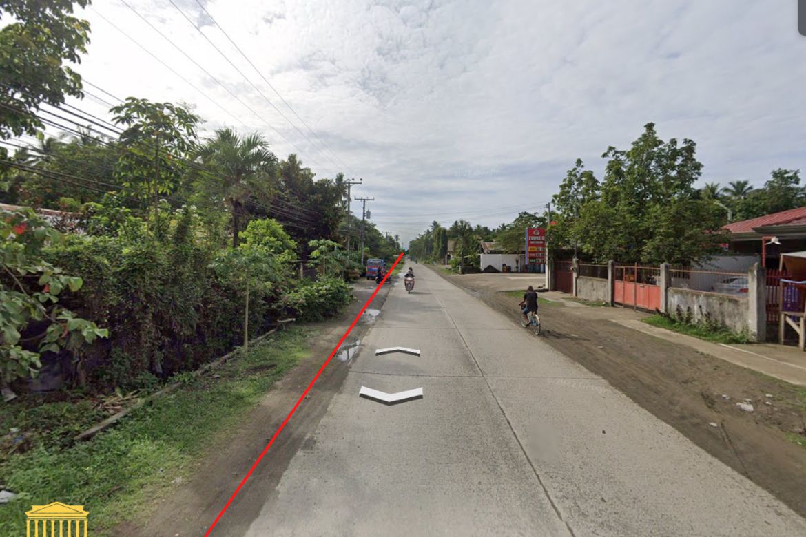 Land for Sale in New Visayas, Panabo, Davao del Norte – photo 3