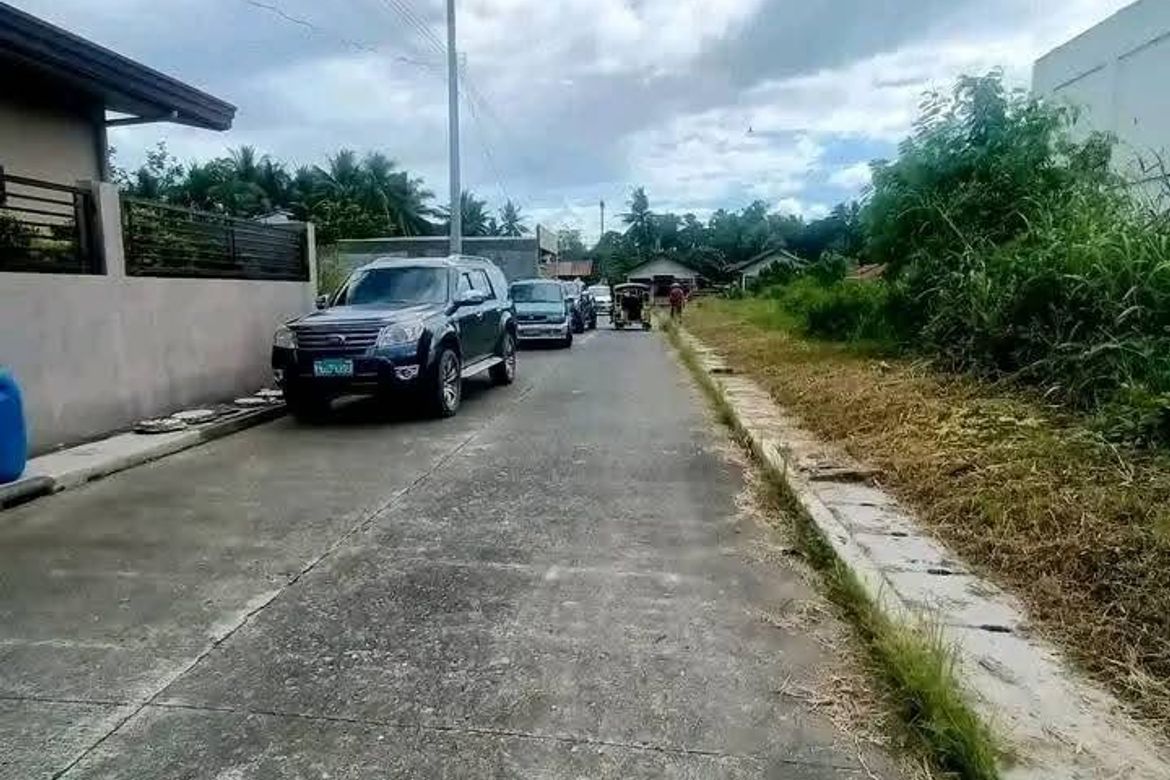 Land for Sale in New Visayas, Panabo, Davao del Norte – photo 3