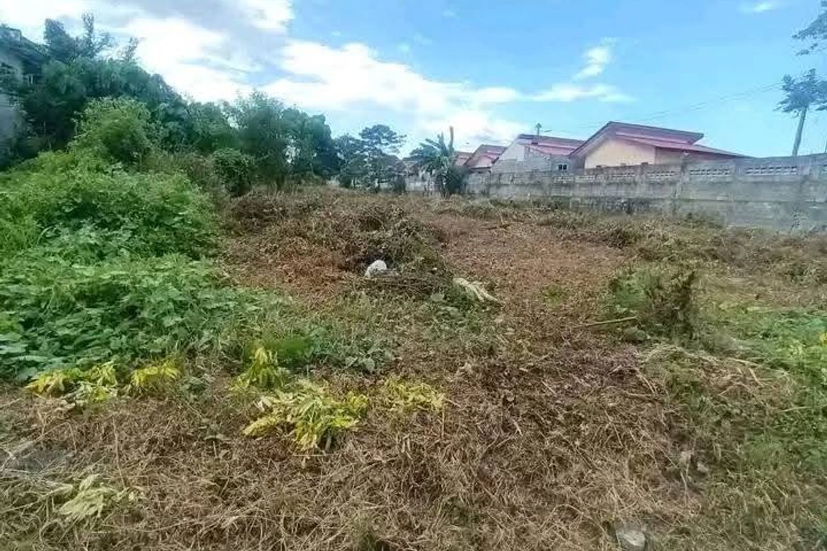 Land for Sale in New Visayas, Panabo, Davao del Norte – photo 4
