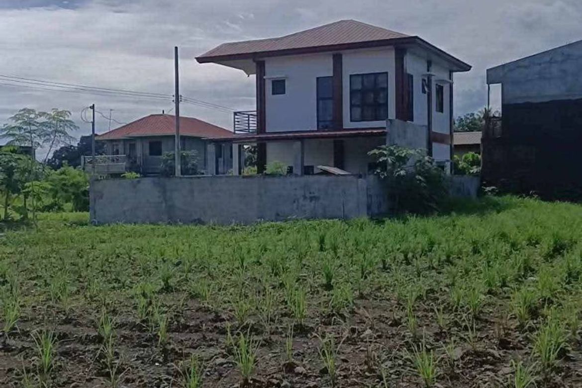 Land for Sale in New Visayas, Panabo, Davao del Norte – photo 6