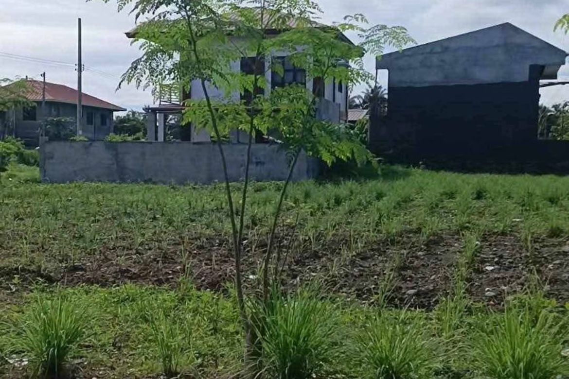 Land for Sale in New Visayas, Panabo, Davao del Norte – photo 7