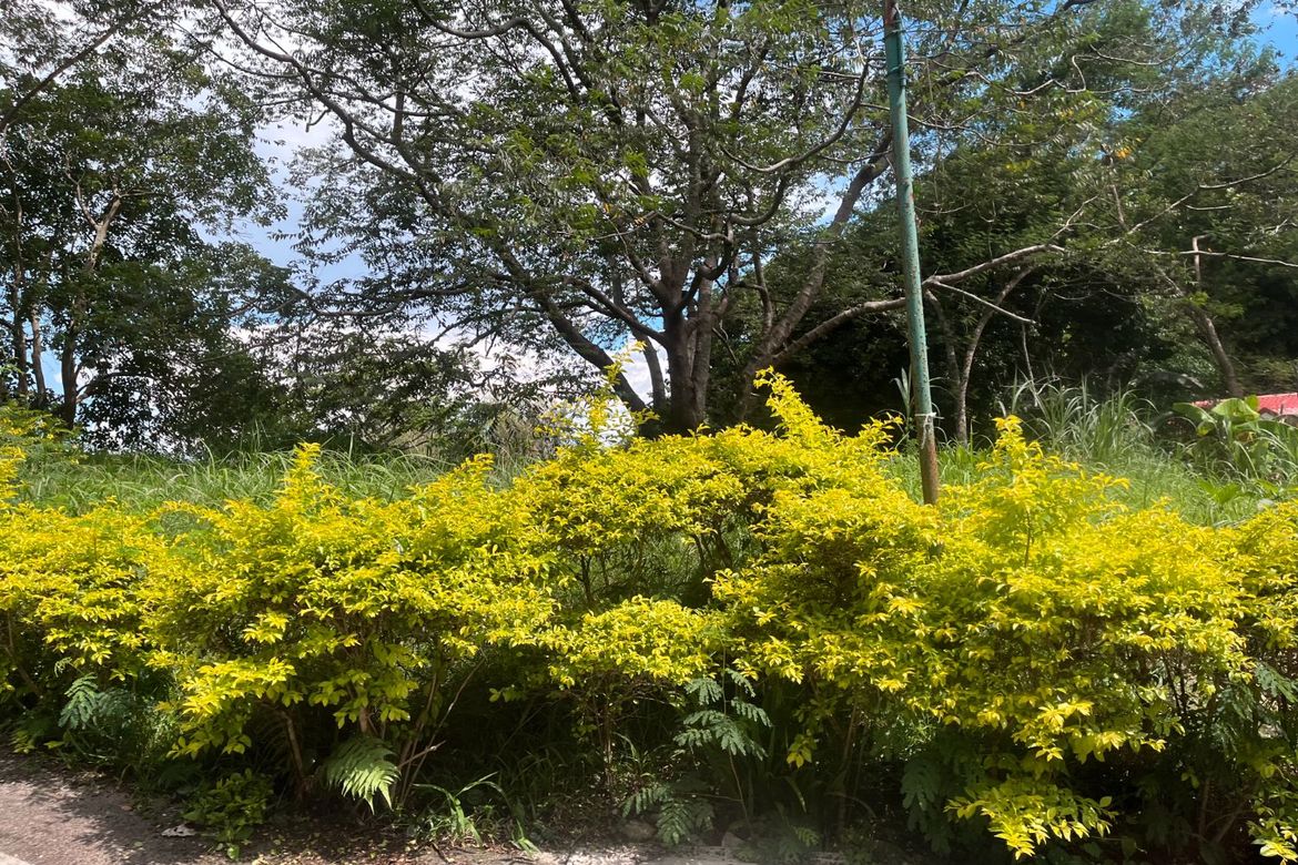 Land for Sale in Niyugan, Laurel, Batangas – photo 2