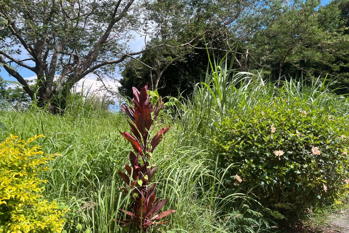 Land for Sale in Niyugan, Laurel, Batangas – photo 3