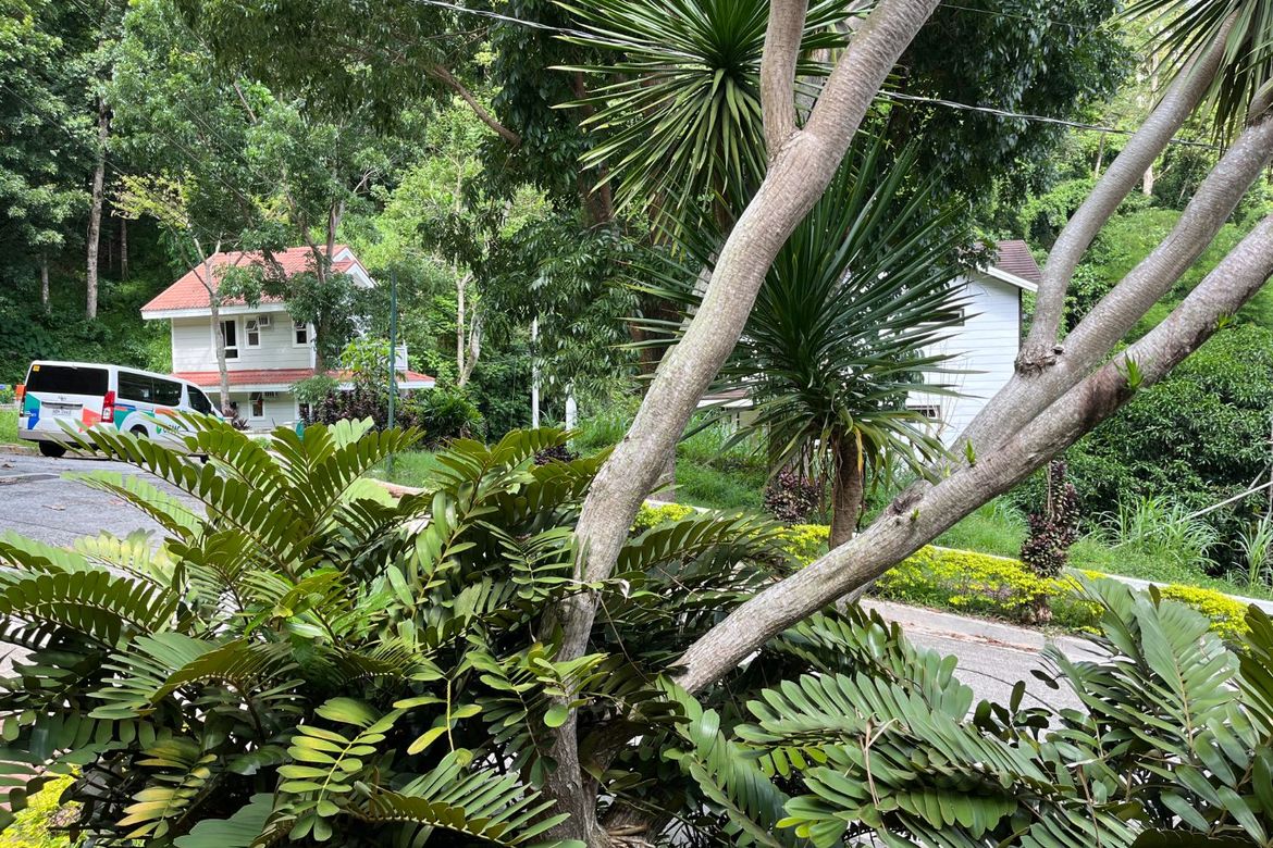Land for Sale in Niyugan, Laurel, Batangas – photo 5