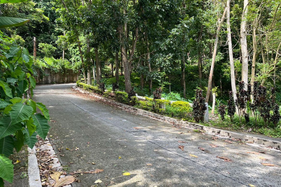 Land for Sale in Niyugan, Laurel, Batangas – photo 6