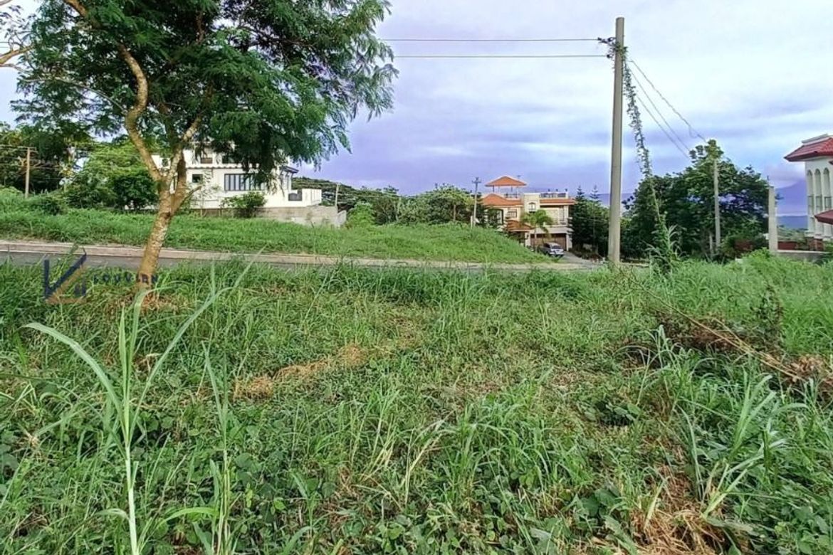 Land for Sale in Niyugan, Laurel, Batangas – photo 8