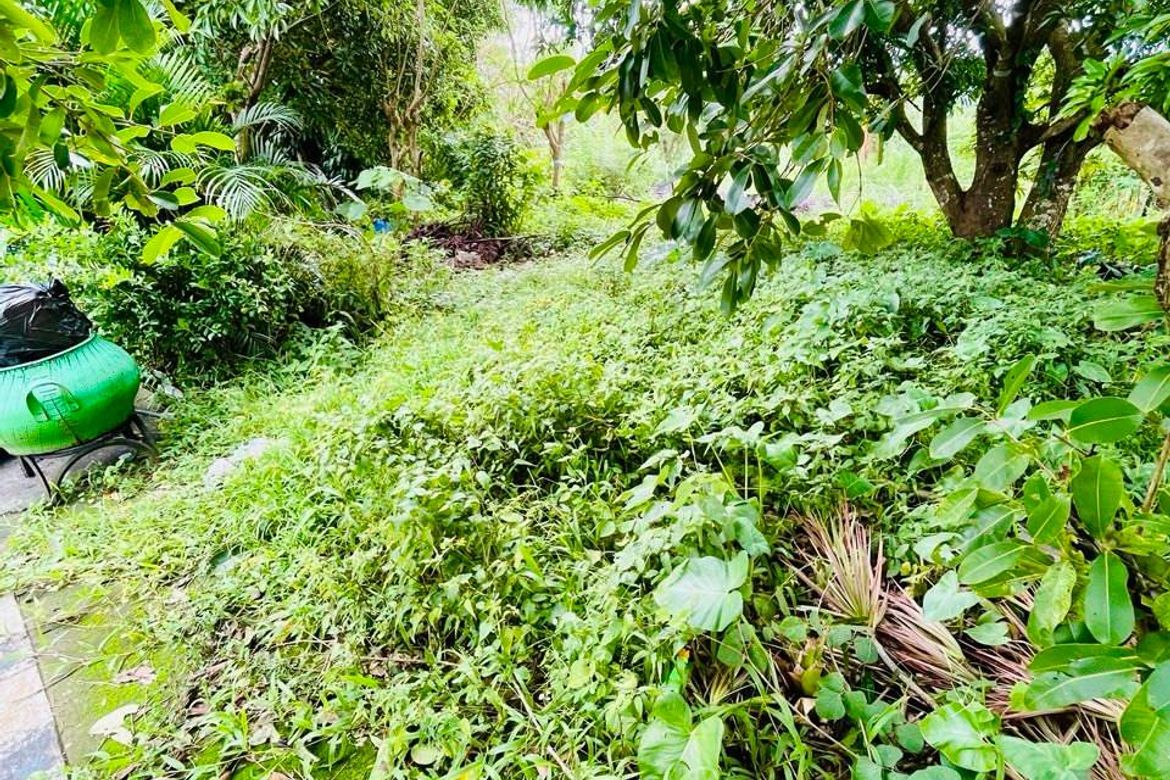 Land for Sale in Niyugan, Laurel, Batangas – photo 2