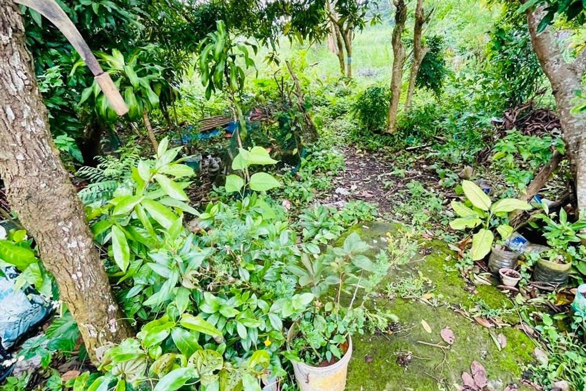 Land for Sale in Niyugan, Laurel, Batangas – photo 3