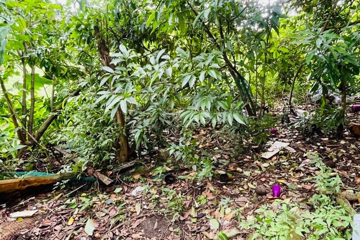 Land for Sale in Niyugan, Laurel, Batangas – photo 5