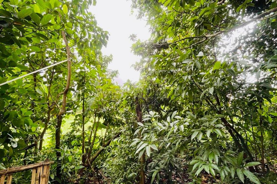 Land for Sale in Niyugan, Laurel, Batangas – photo 6