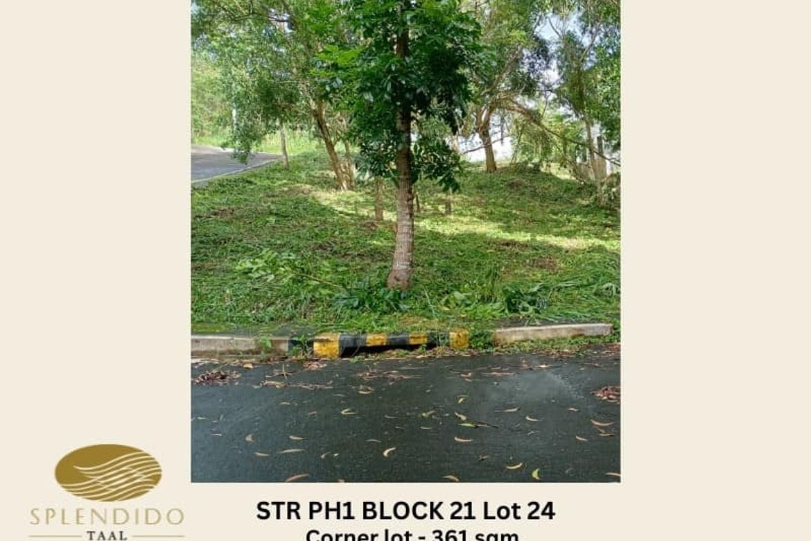 Land for Sale in Niyugan, Laurel, Batangas – photo 7