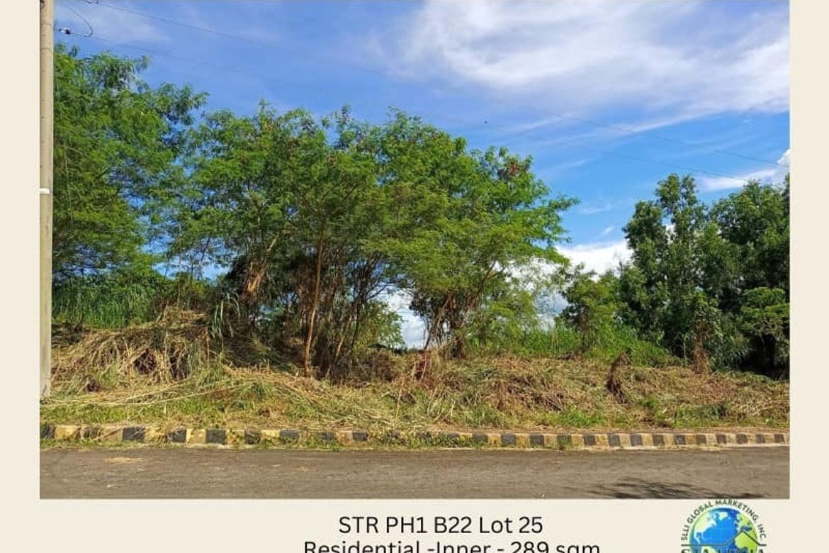 Land for Sale in Niyugan, Laurel, Batangas – photo 8
