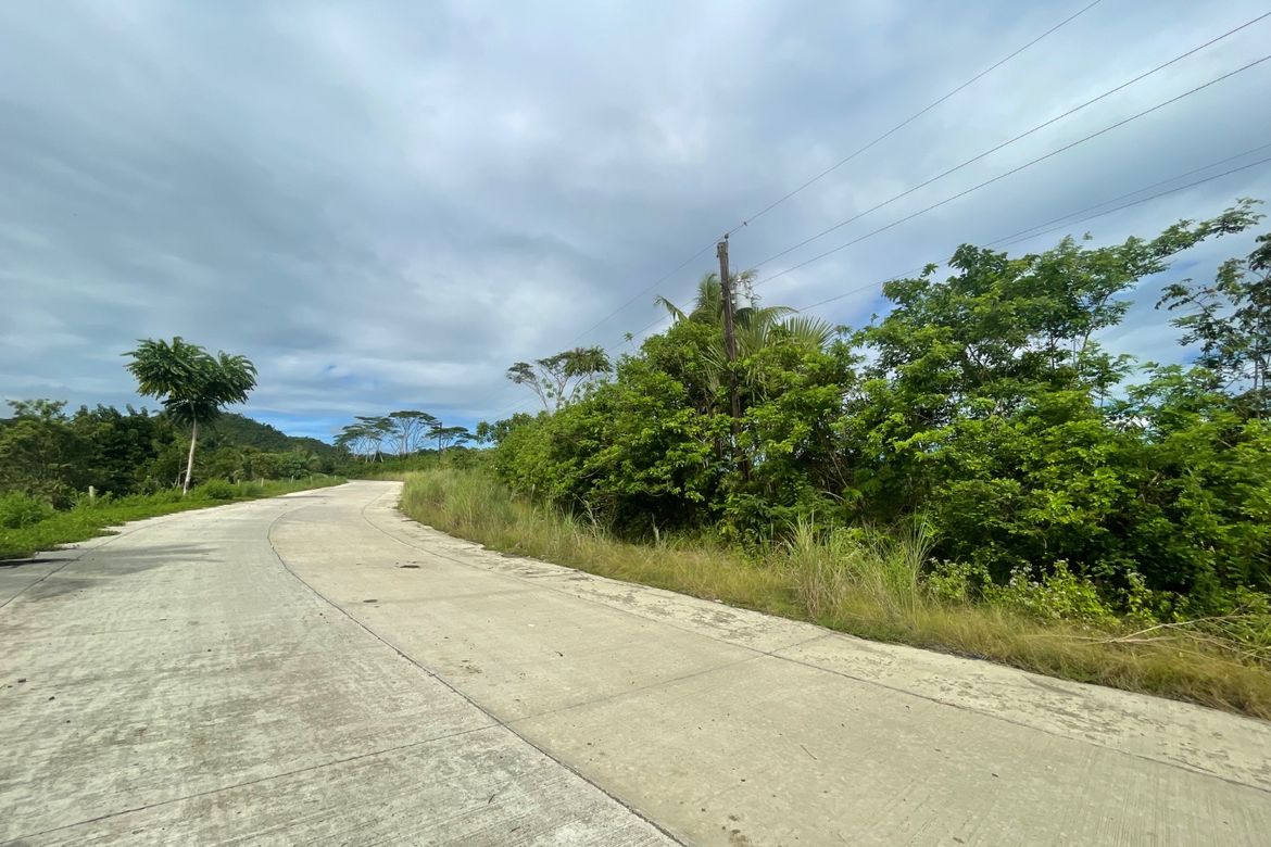 Land for Sale in Nong-Nong, Butuan, Agusan del Norte