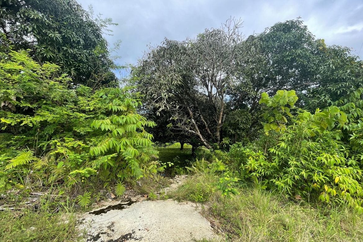 Land for Sale in Nong-Nong, Butuan, Agusan del Norte – photo 3