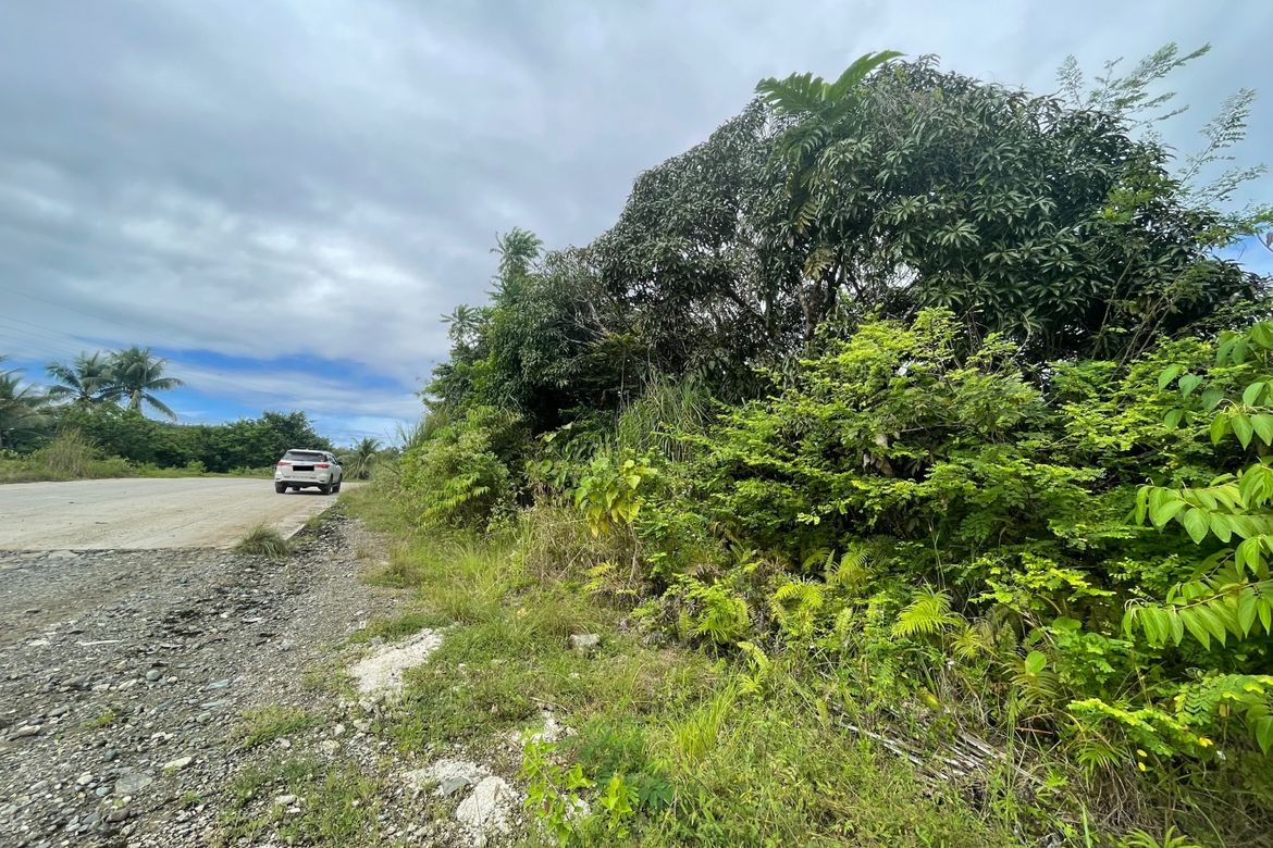 Land for Sale in Nong-Nong, Butuan, Agusan del Norte – photo 4