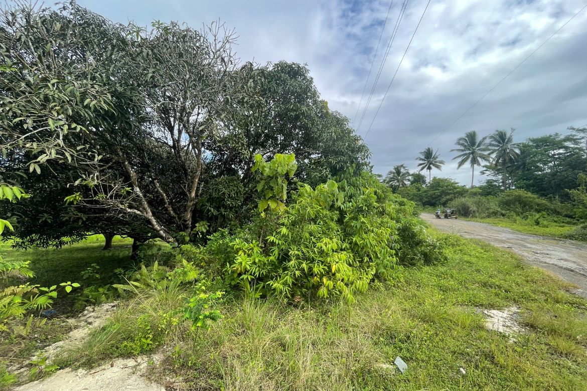 Land for Sale in Nong-Nong, Butuan, Agusan del Norte – photo 5