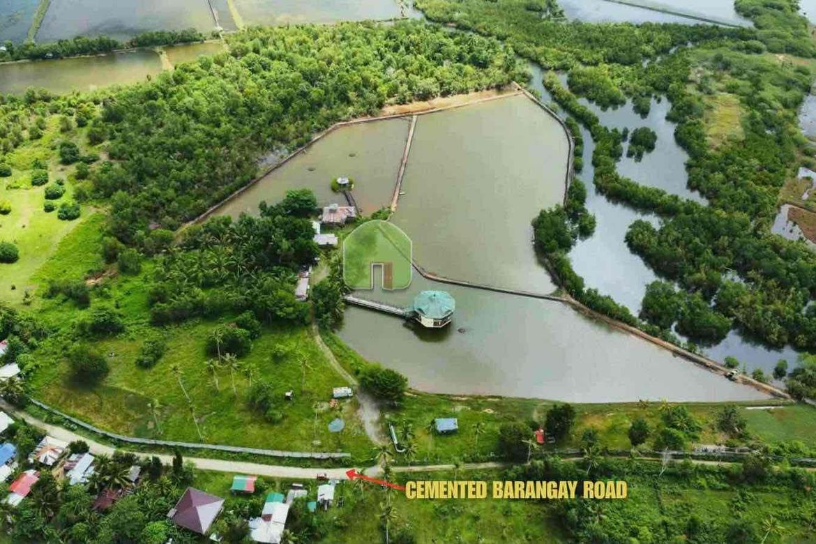 Land for Sale in Nueva Estrella, Bien Unido, Bohol – photo 3