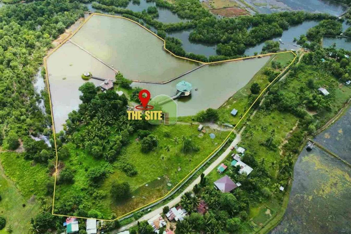 Land for Sale in Nueva Estrella, Bien Unido, Bohol – photo 5