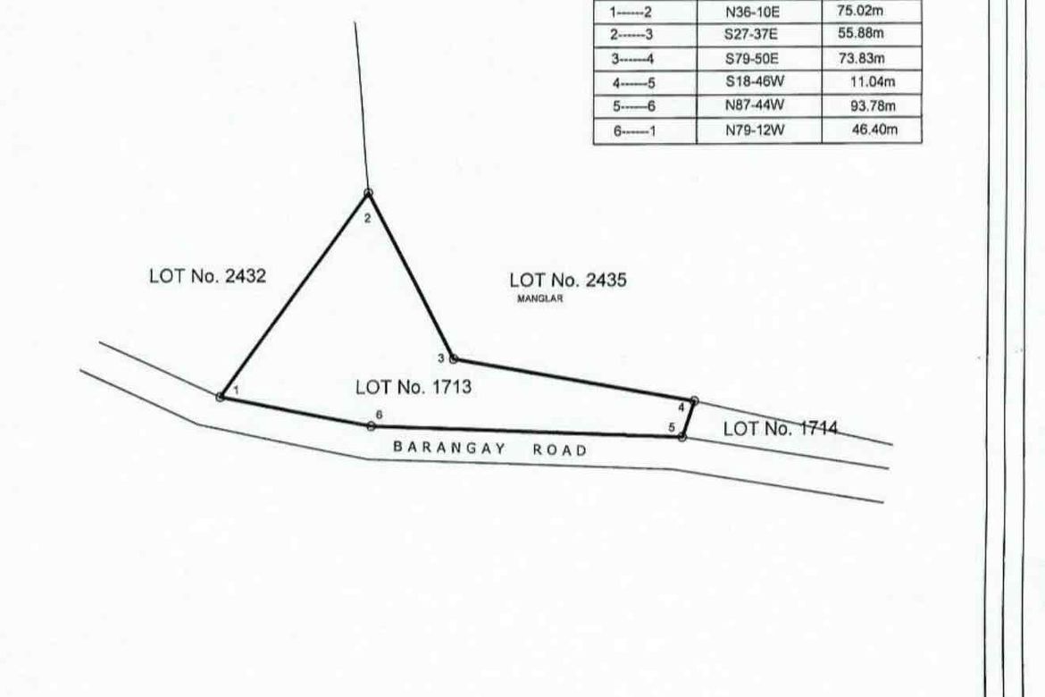 Land for Sale in Nueva Estrella, Bien Unido, Bohol – photo 8