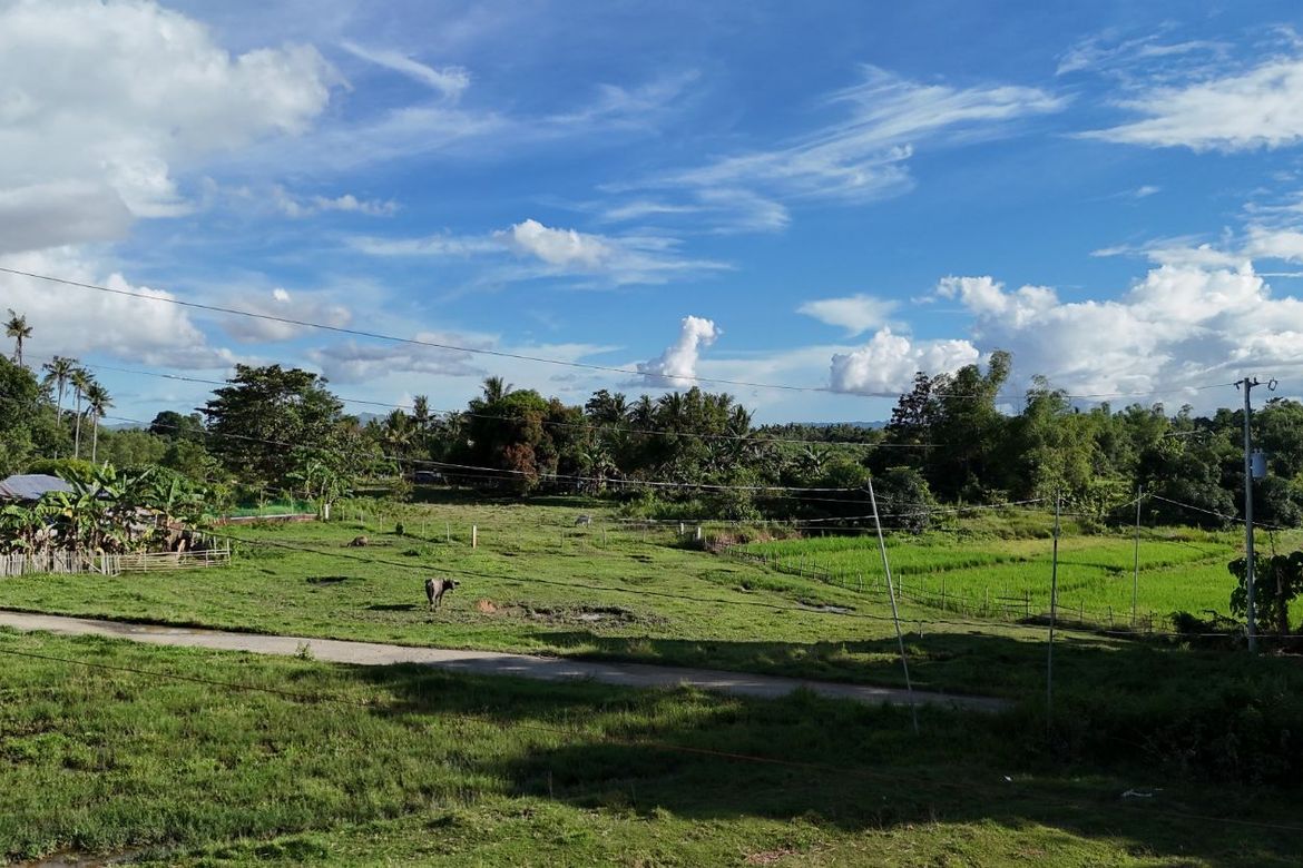 Land for Sale in Nueva Estrella, Bien Unido, Bohol – photo 4
