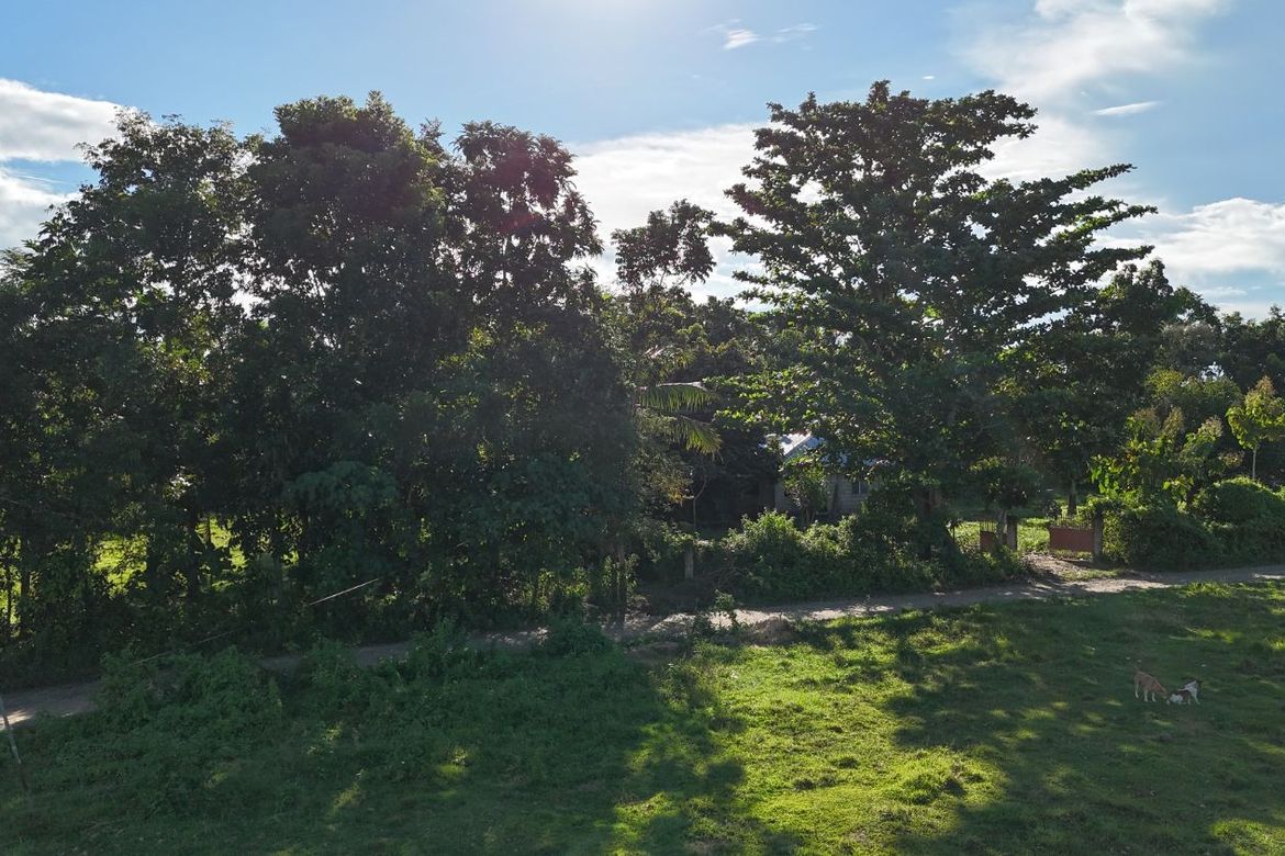 Land for Sale in Nueva Estrella, Bien Unido, Bohol – photo 6