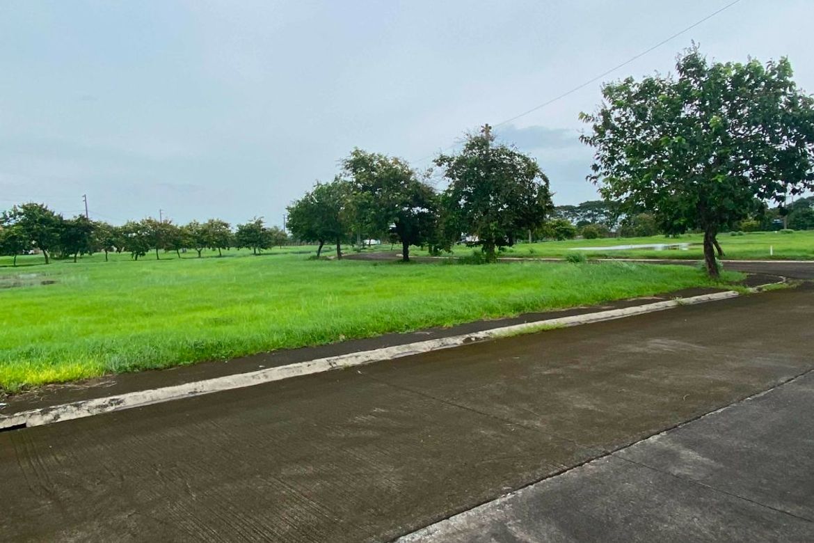 Land for Sale in Nueva Victoria, Mexico, Pampanga – photo 4