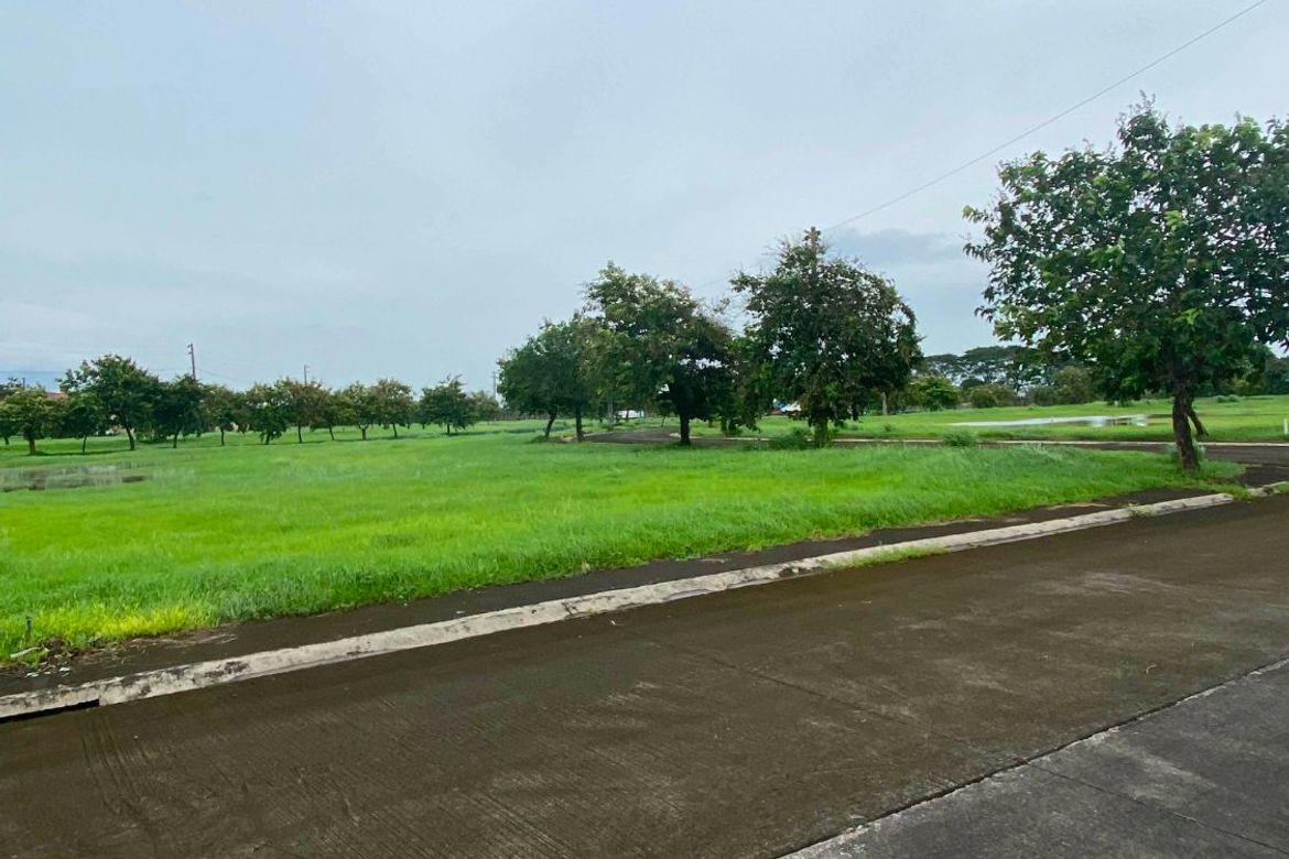 Land for Sale in Nueva Victoria, Mexico, Pampanga – photo 8