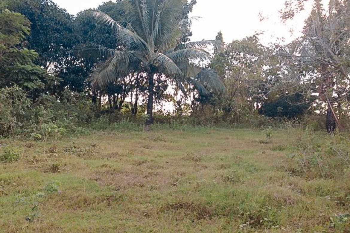 Land for Sale in Nusa Dua, Paradahan I, Tanza, Cavite